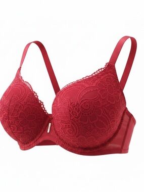 aerie Red Lace Push-Up Bra with Floral Detail